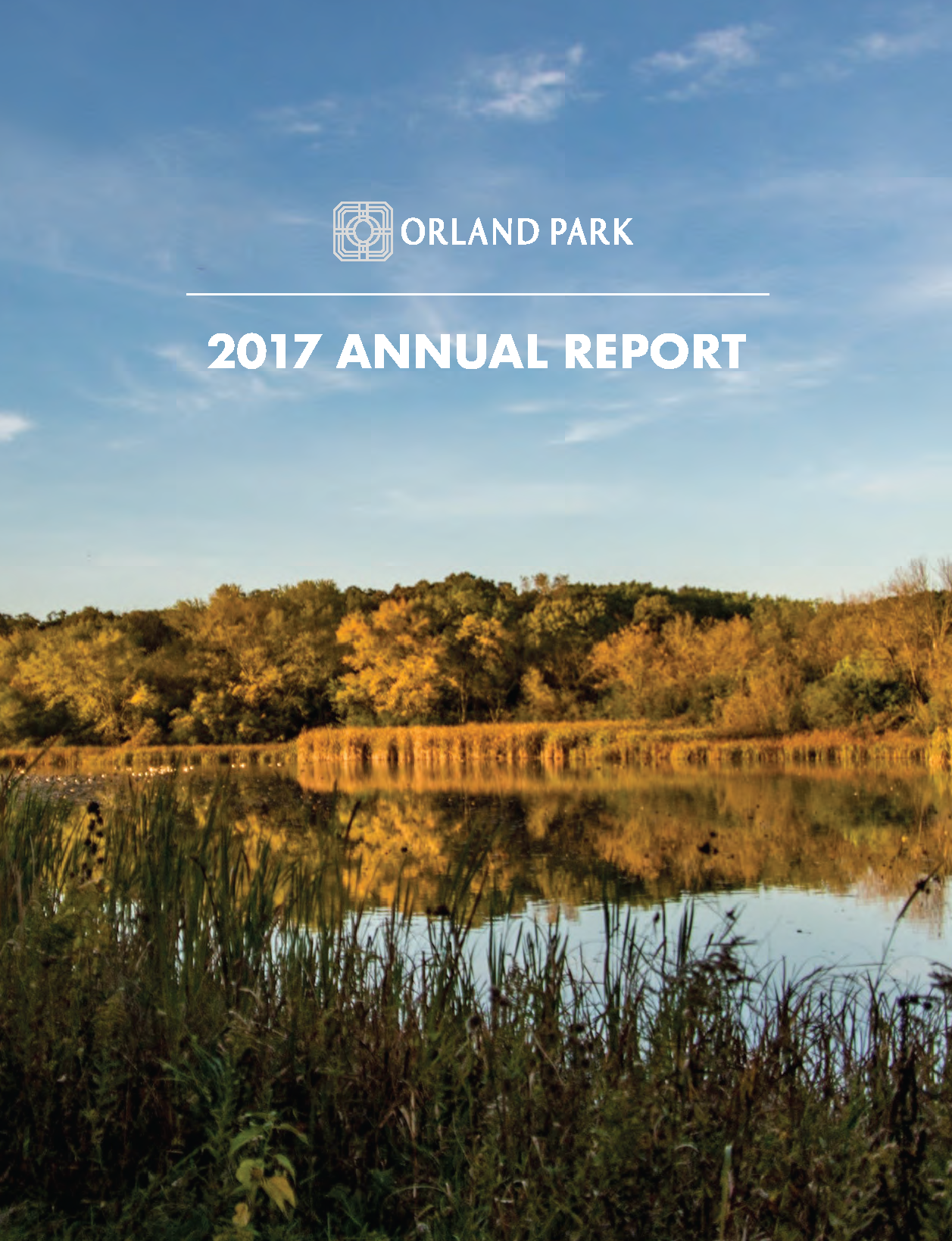 2017 Annual Report Cover