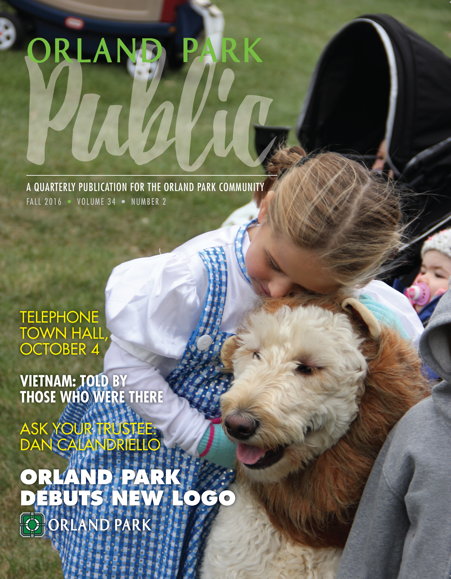 VOP Public Fall 2016 Cover