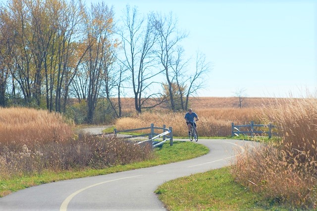 Bike Path2