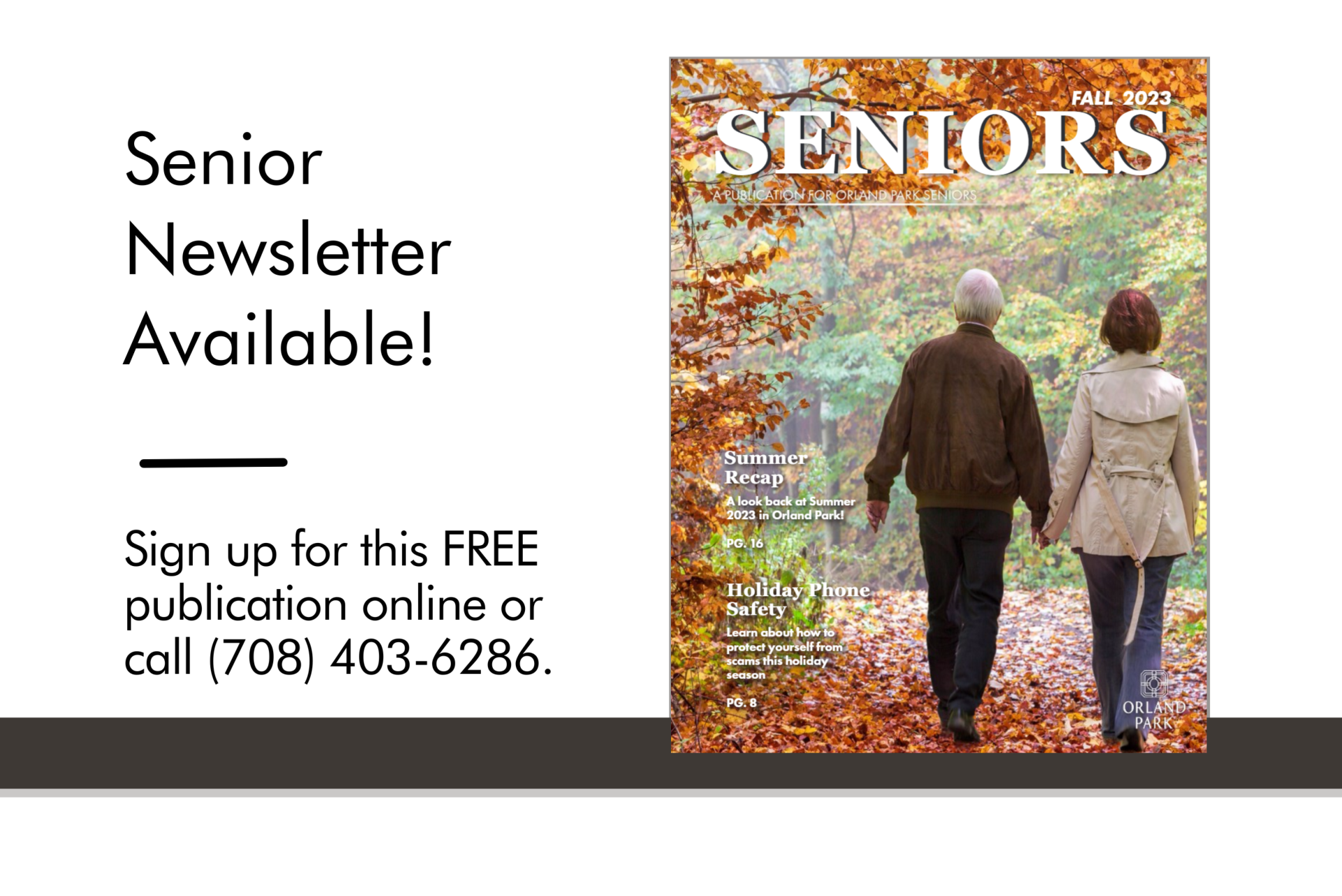 Senior Newsletter GFX (1)