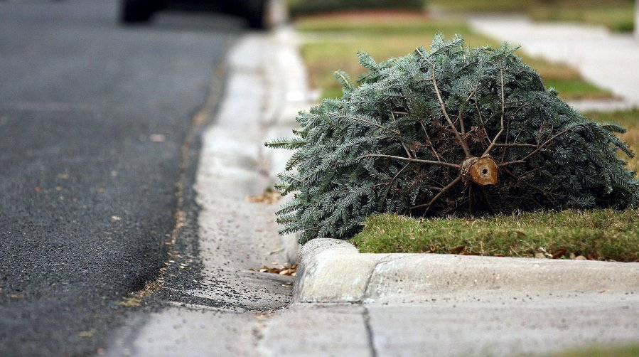 Tree recycling